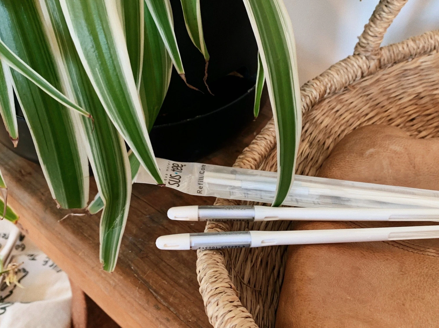 2 Sustees + 2 Refills Bundle Pack - Image 5