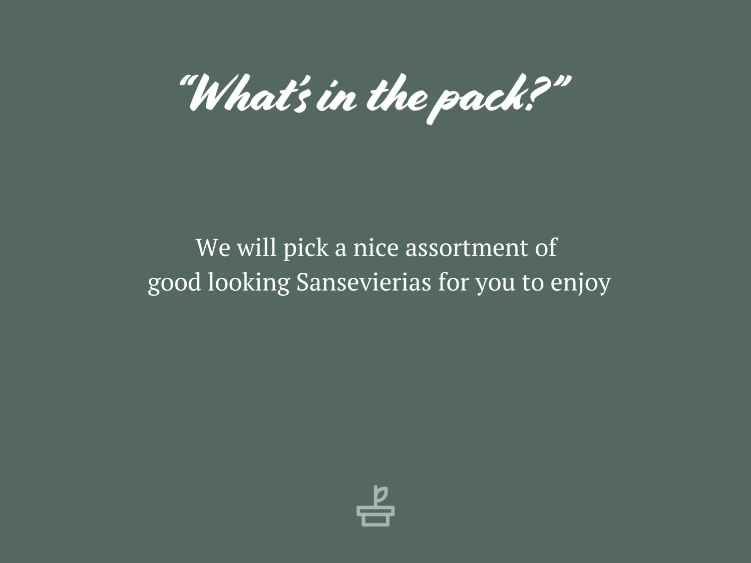 Assorted Box Of Sansevieria - Image 9