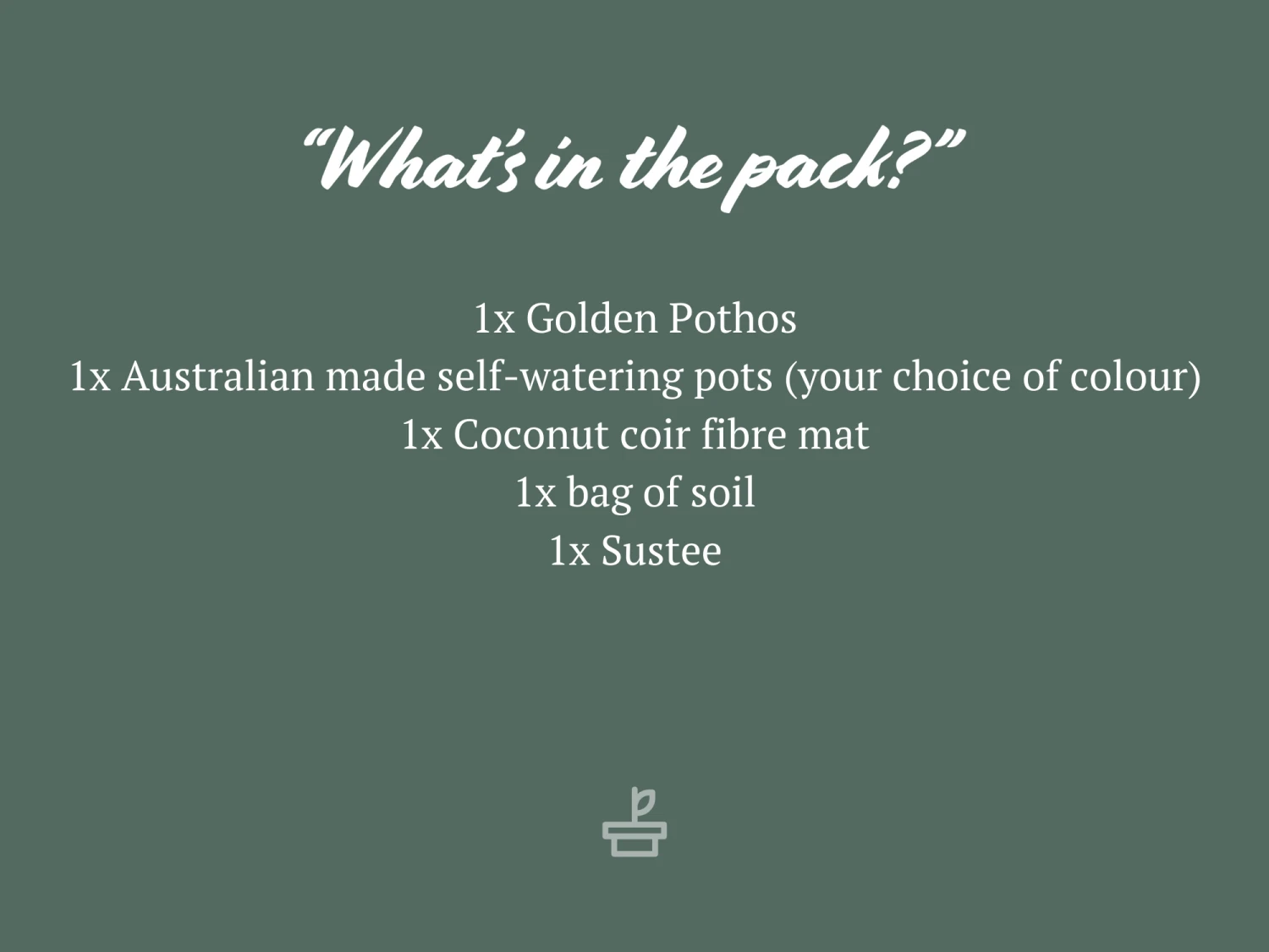 Houseplant Beginners Gift Box 🎁 - Sustee Included - Image 13