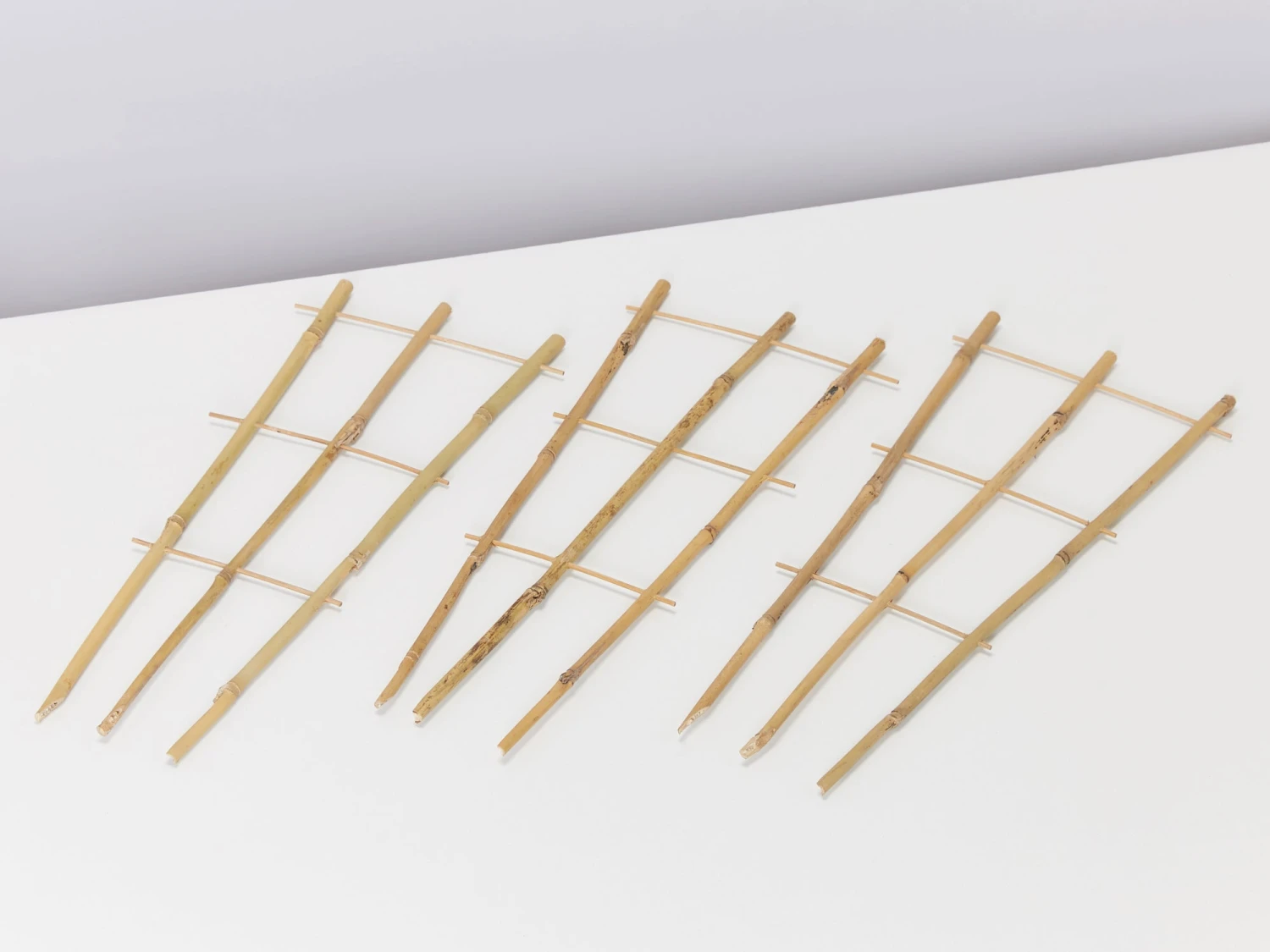 Bamboo Plant Trainer - Image 2