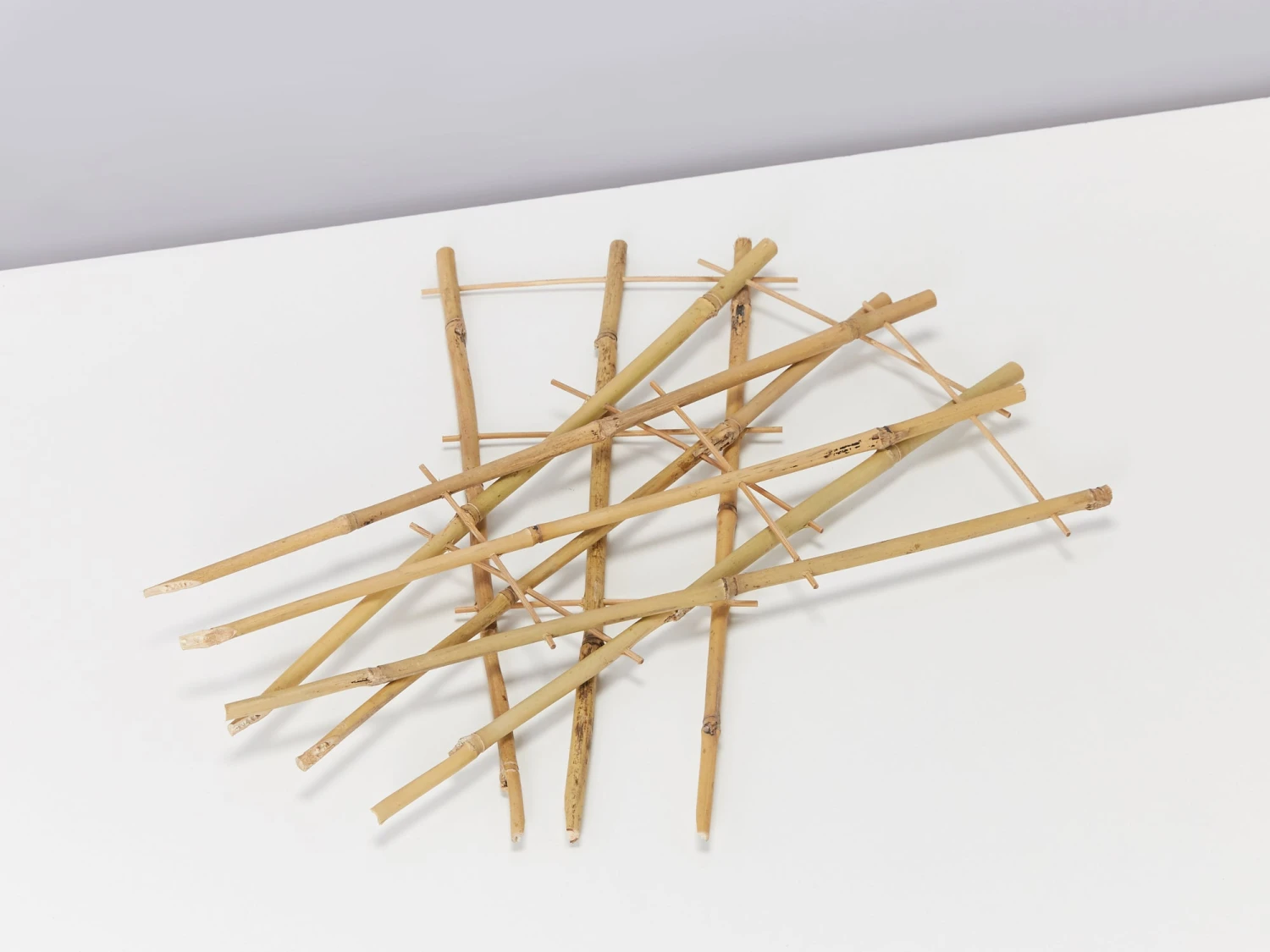 Bamboo Plant Trainer - Image 5