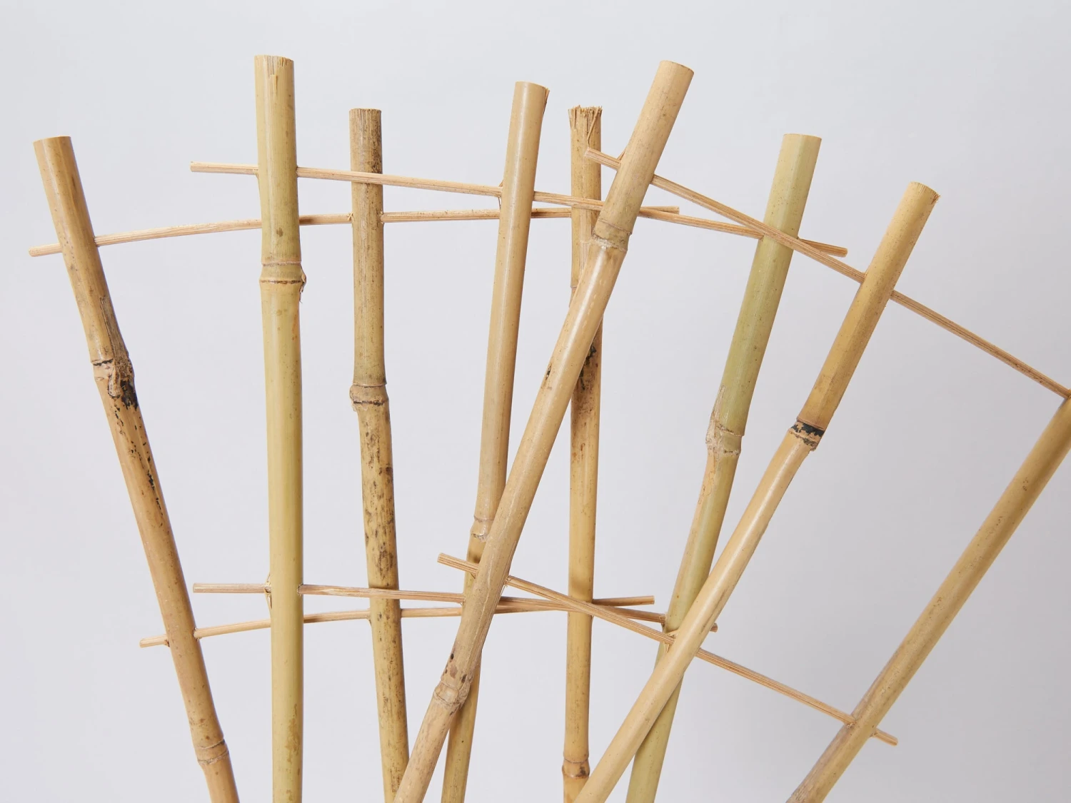 Bamboo Plant Trainer - Image 4