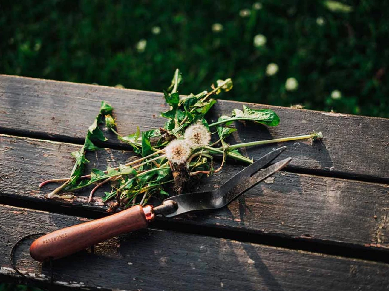 Barebones Weeding Fork - Image 5