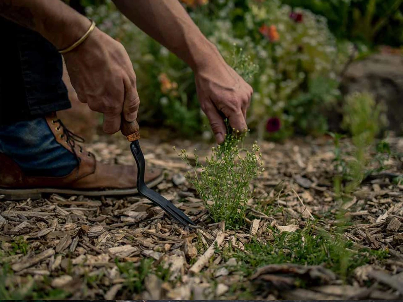 Barebones Weeding Fork - Image 2