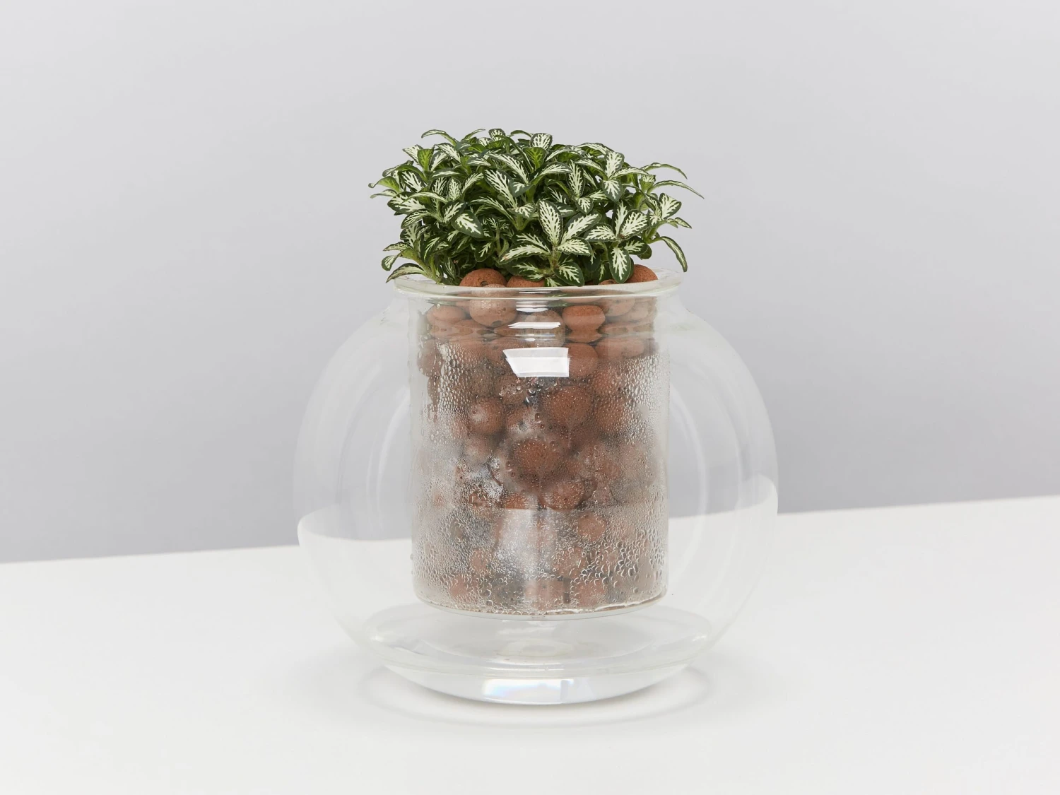 LECA - Canna Aqua Clay Balls 1L Bags - Image 8