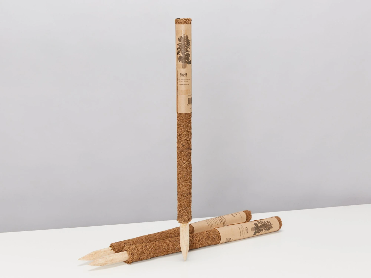 Coco Totem Poles - Image 6