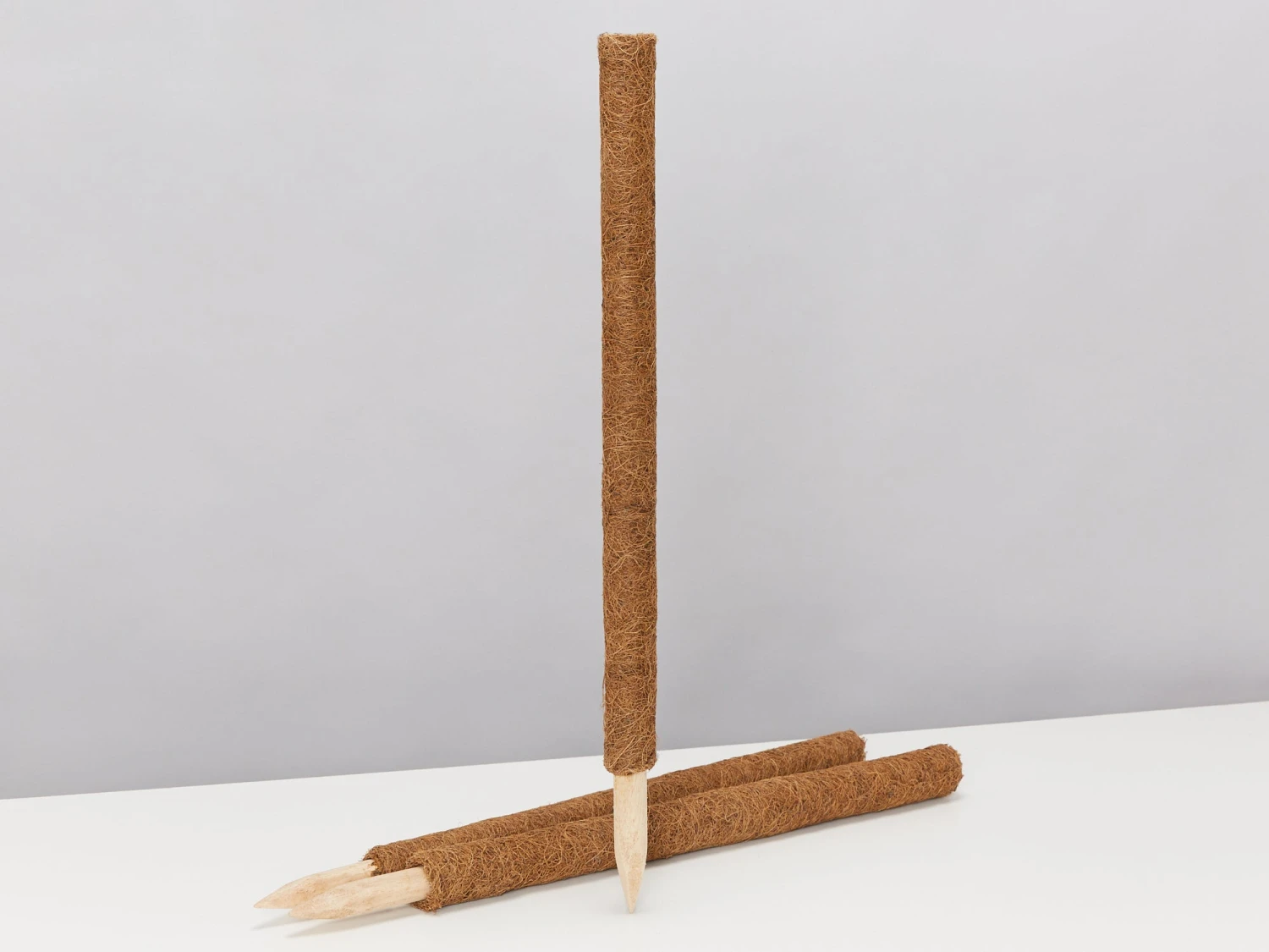 Coco Totem Poles - Image 2