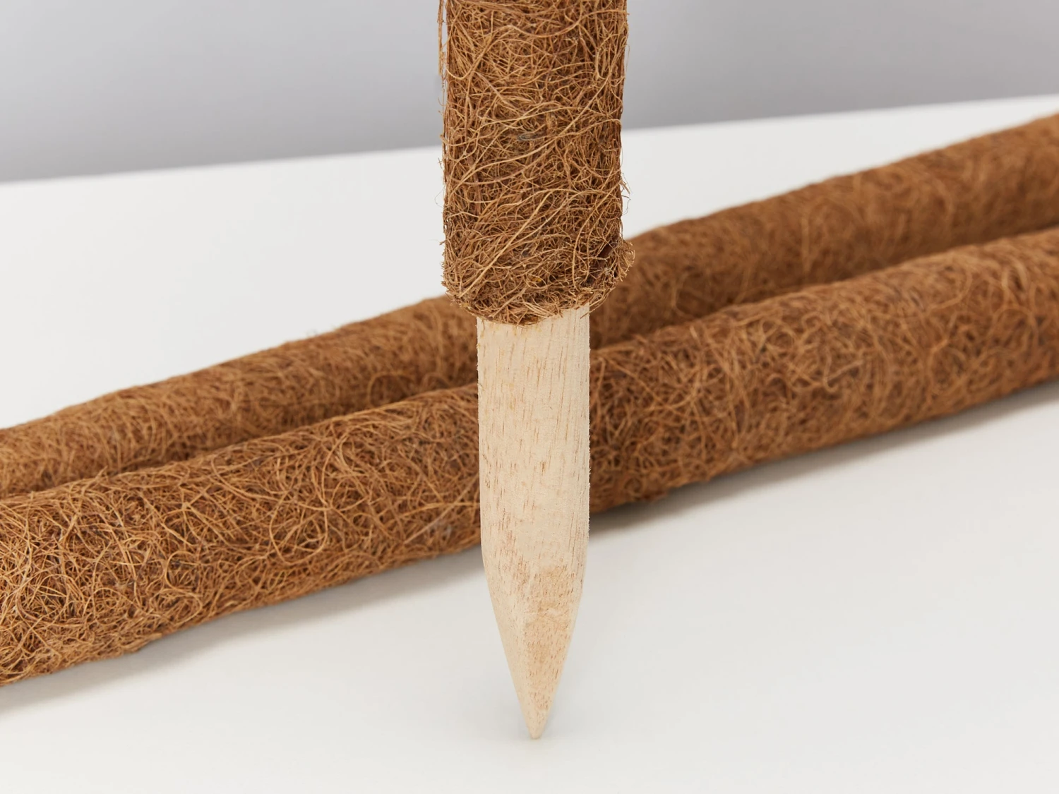 Coco Totem Poles - Image 7