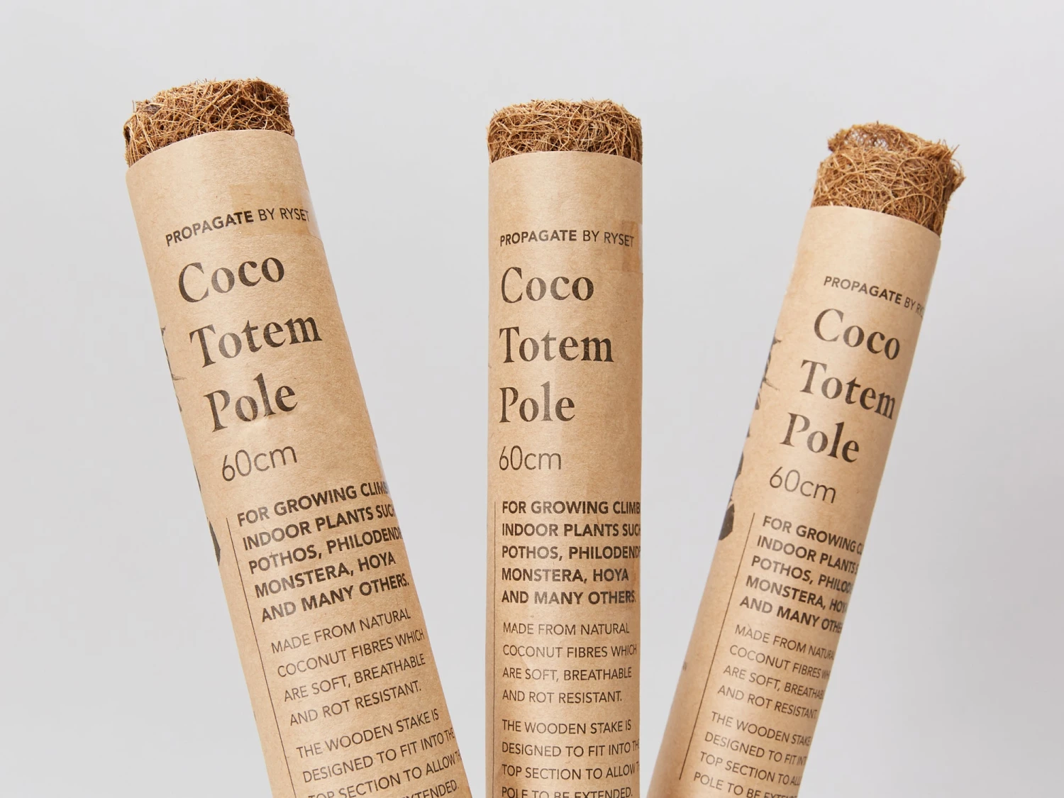 Coco Totem Poles - Image 3