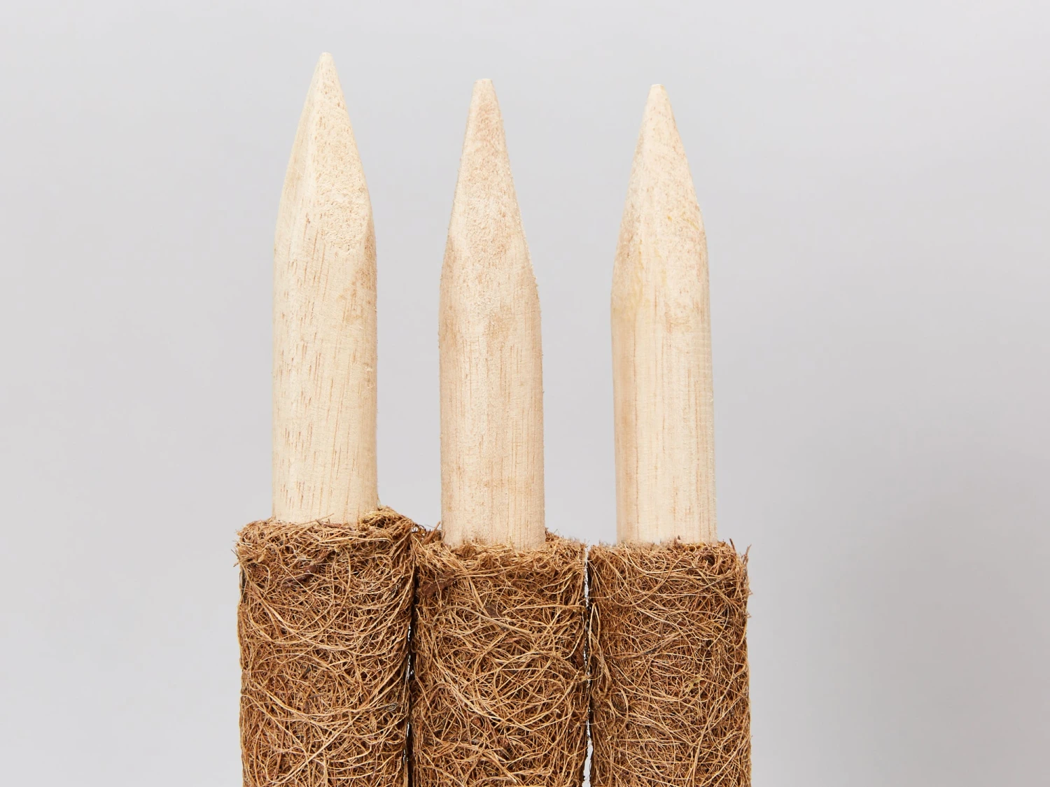 Coco Totem Poles - Image 5