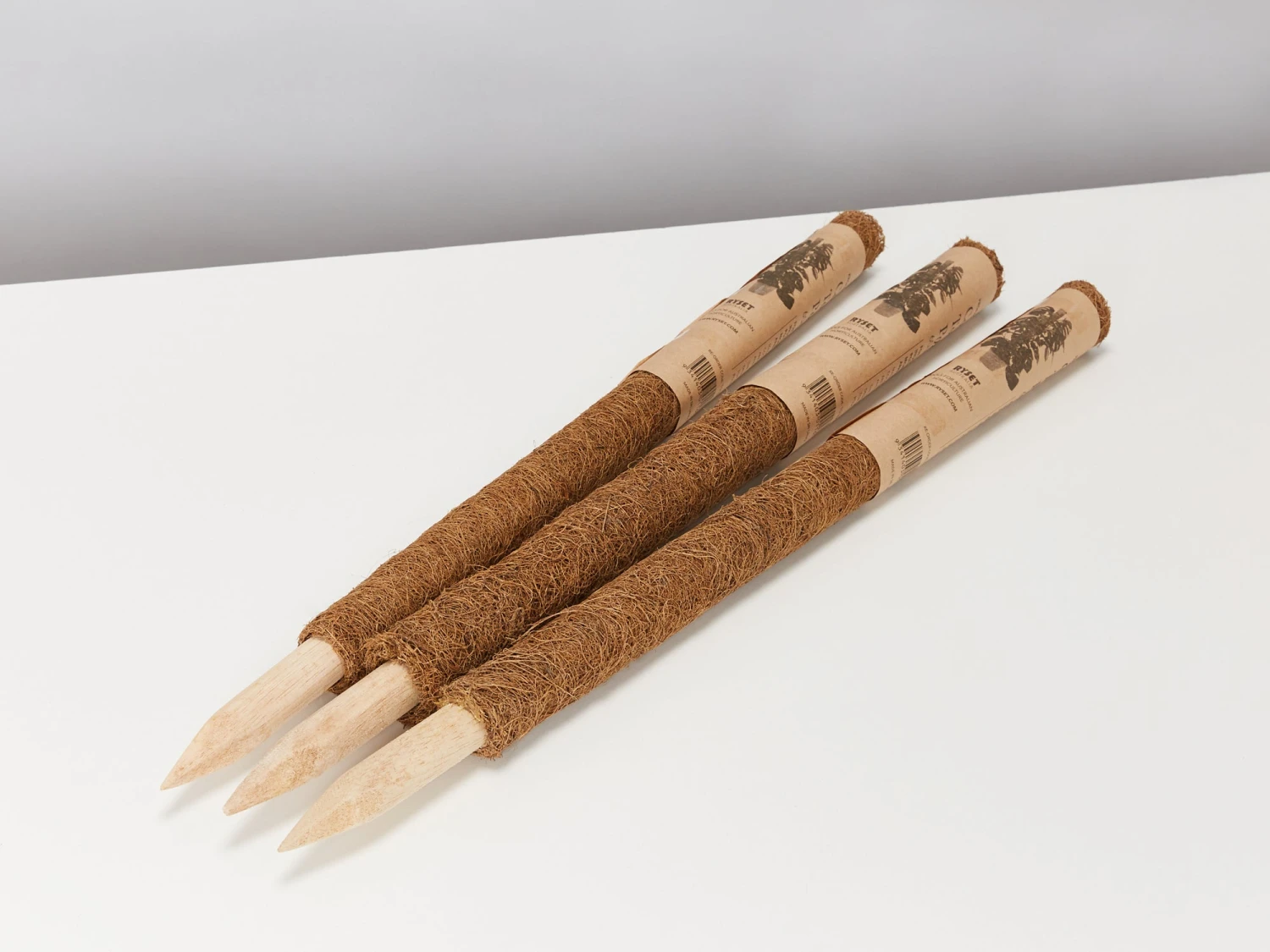 Coco Totem Poles - Image 4