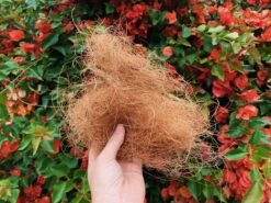 Coconut Coir (loose Bag)