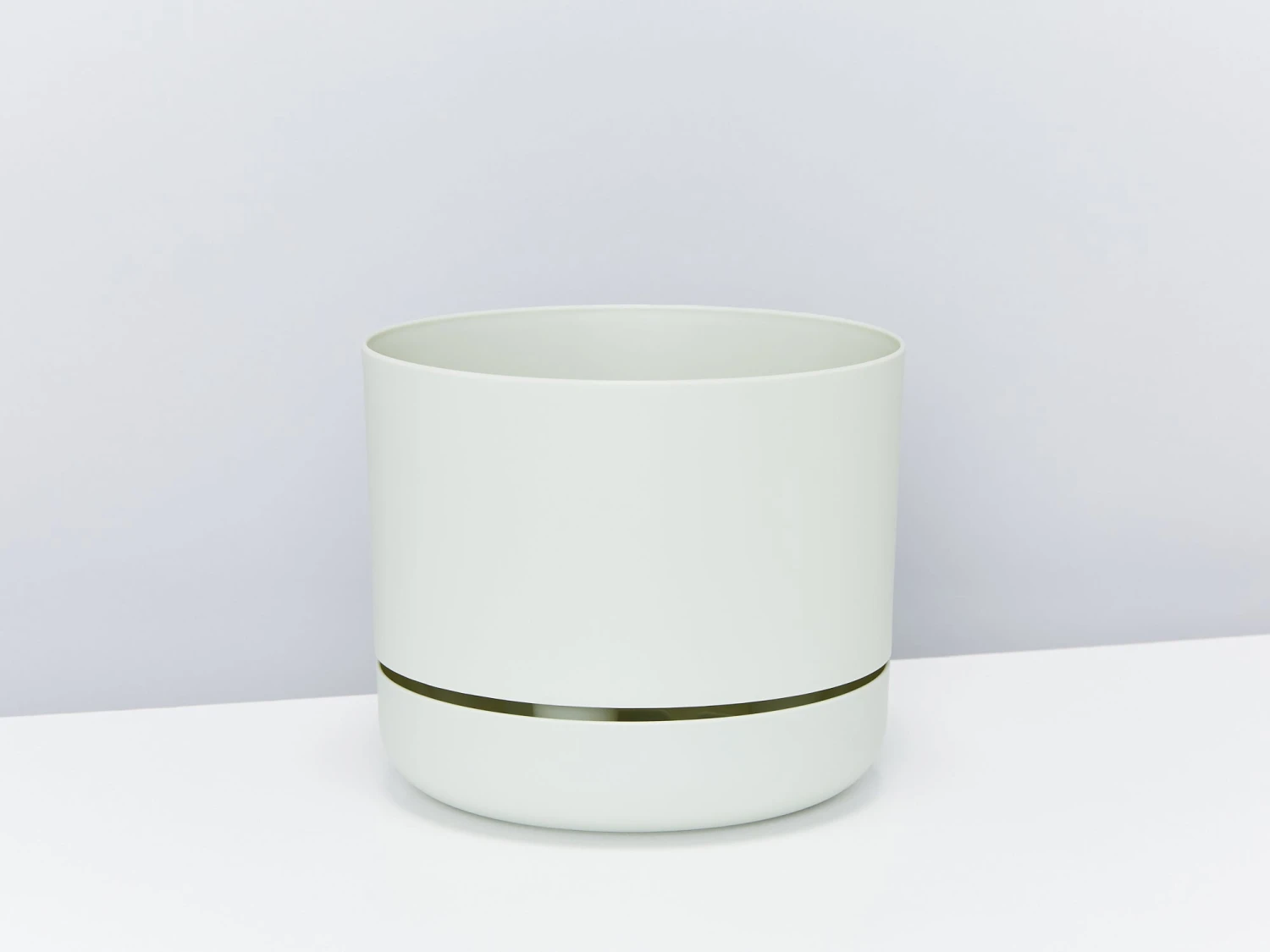 Crocodile Fern - Pot + Plant + Soil - Image 7