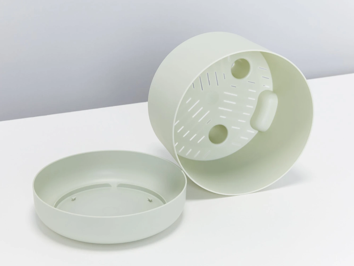 Senecio Peregrinus String Of Dolphins - Image 3