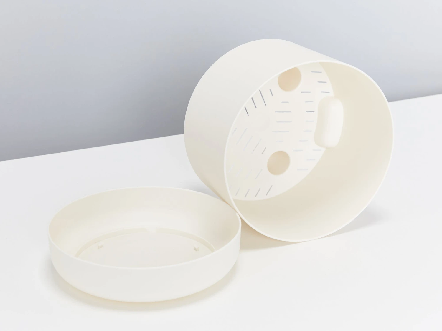 Senecio Peregrinus String Of Dolphins - Image 4