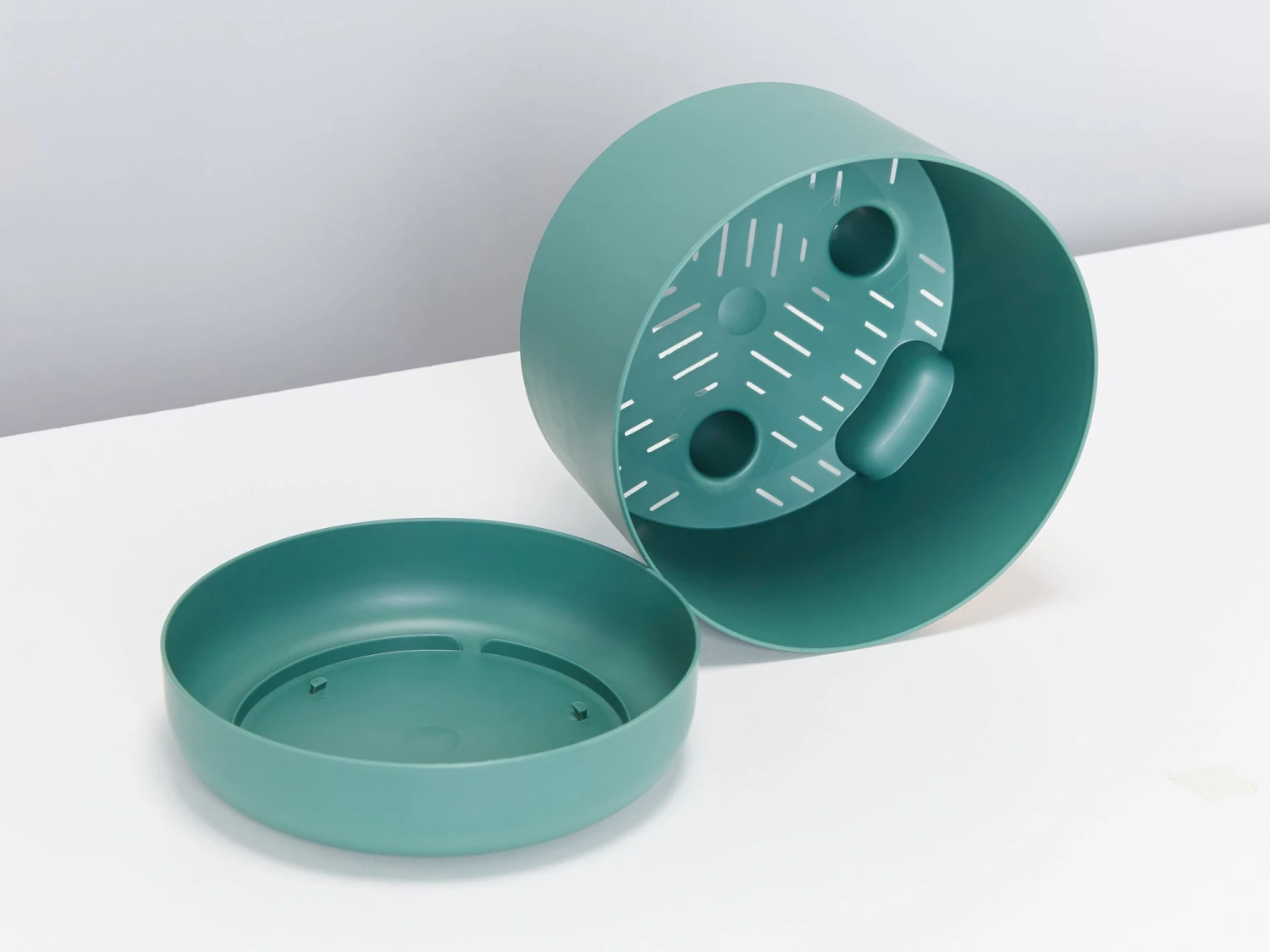 Senecio Peregrinus String Of Dolphins - Image 7