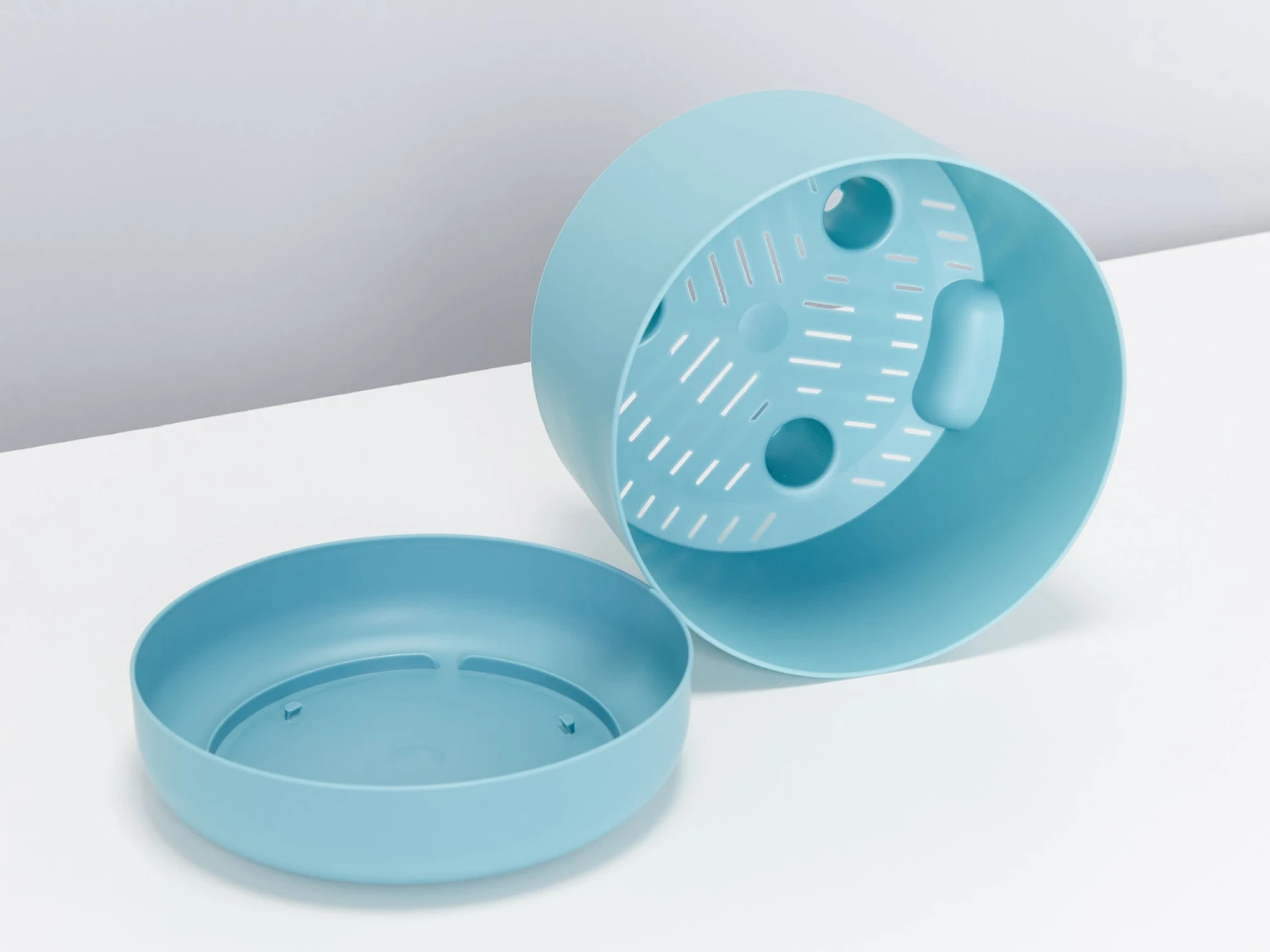 Senecio Peregrinus String Of Dolphins - Image 8