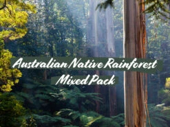 Australian Native Rainforest Mixed Pack