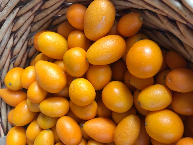 A Box Of Kumquat Plants - Citrus Japonica - Image 2