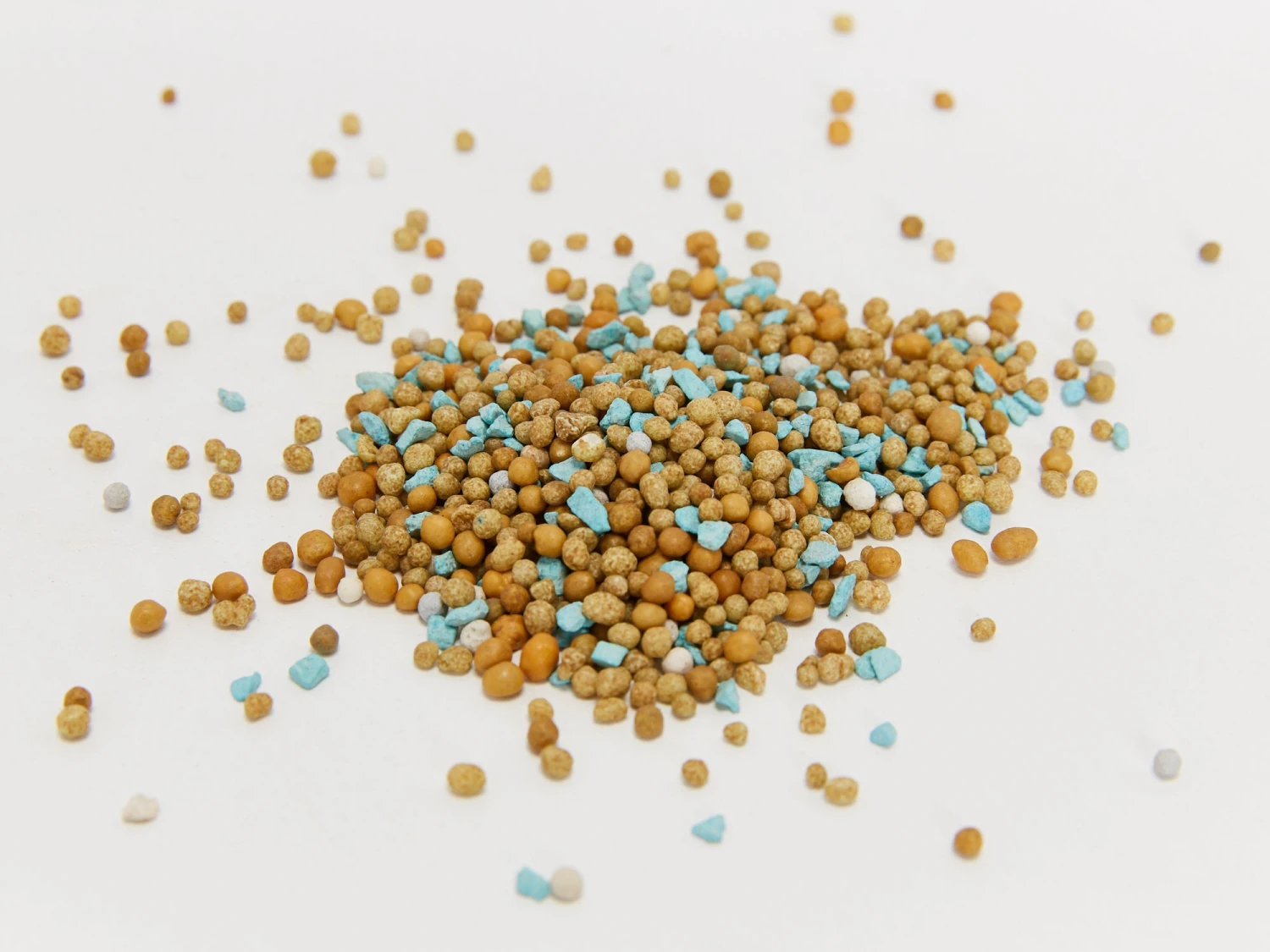 Osmocote Roses, Gardenias, Azaleas & Camellias Fertiliser - Image 4