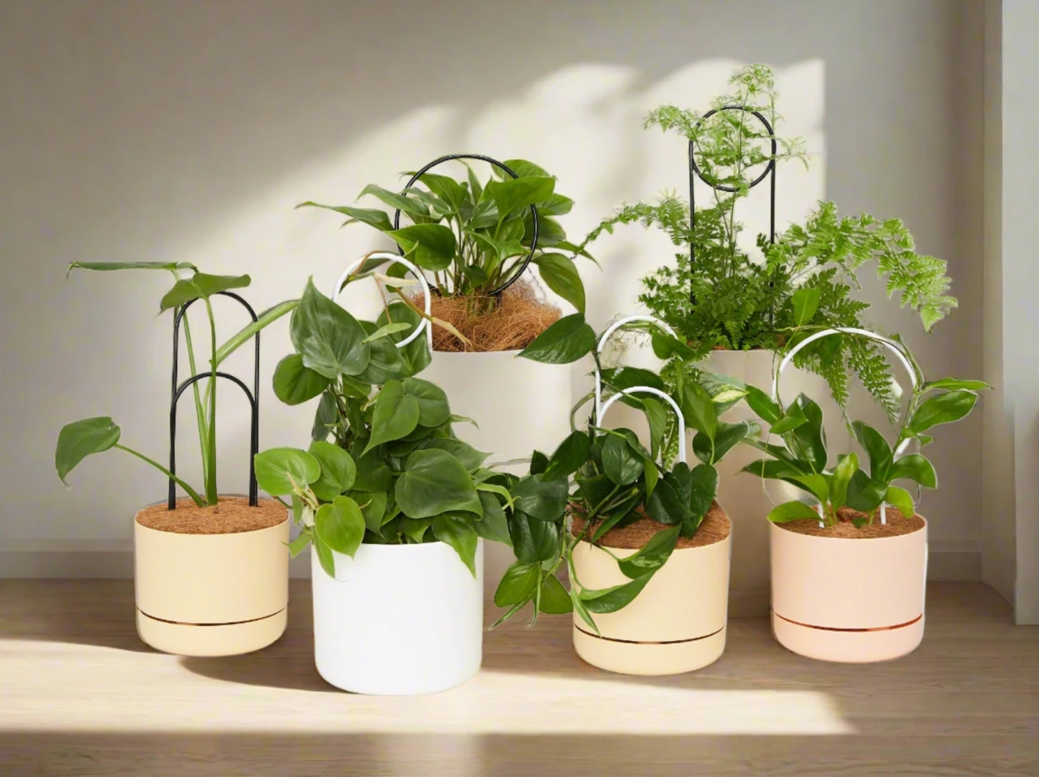 Plant Support Stake Set