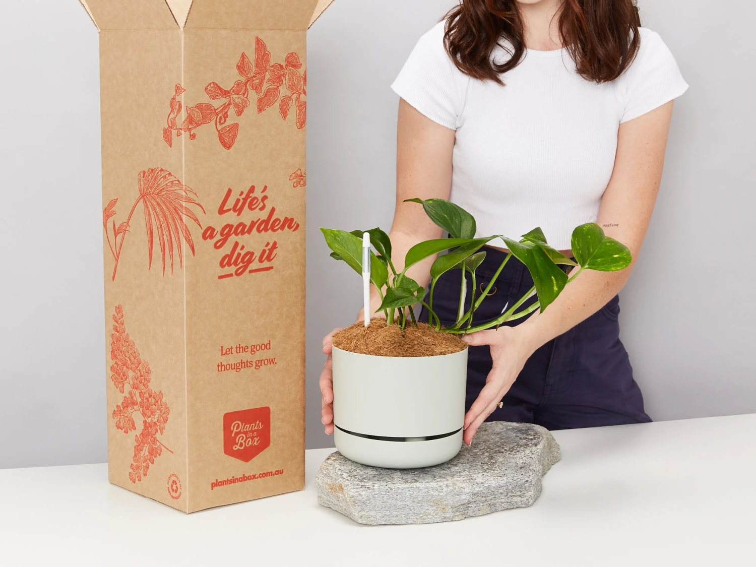 Houseplant Beginners Gift Box 🎁 - Sustee Included