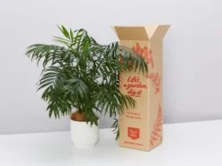 Elho Pet-Friendly Eco ♻️ Gift Box