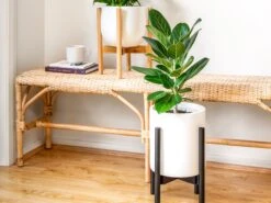 Adjustable Bamboo Plant Stand - Black