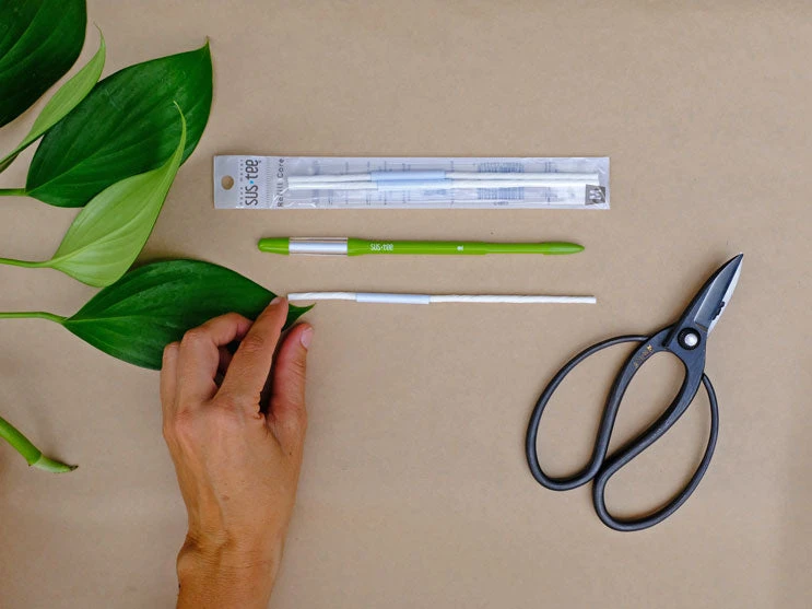 2 Sustees + 2 Refills Bundle Pack - Image 8