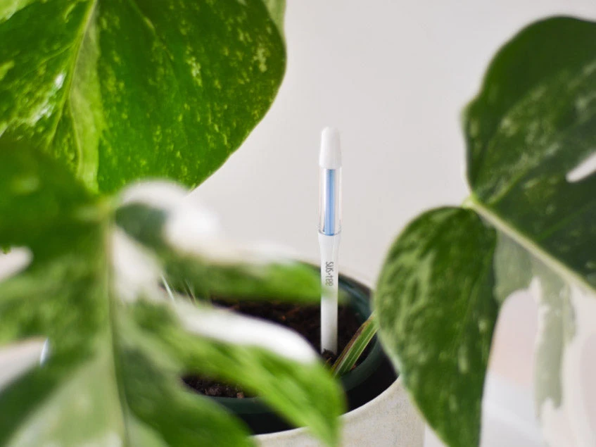 Sustee Plant Moisture Meter - Large White - Image 2