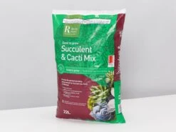 Bonsai Cacti Succulent Soil