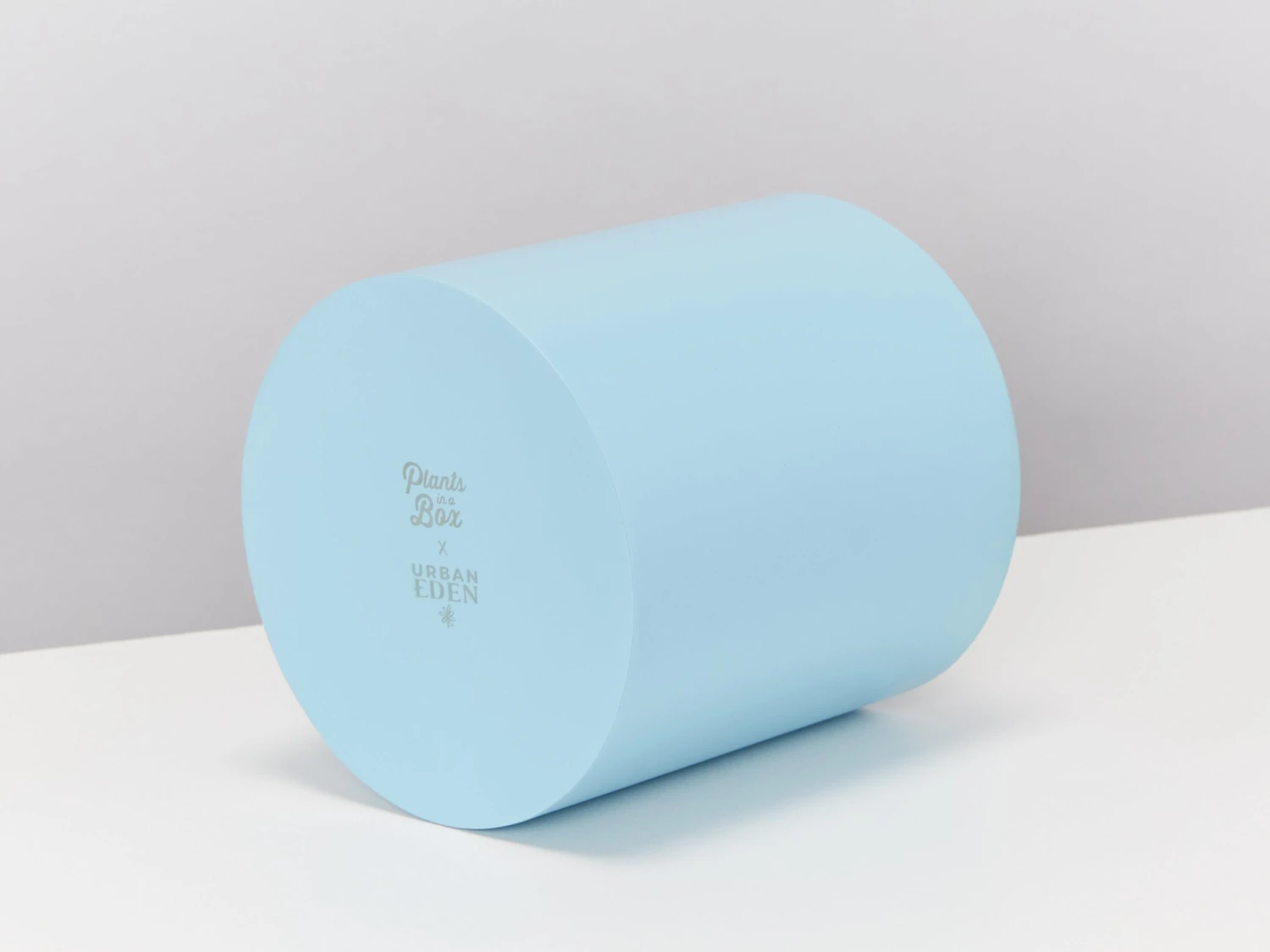 Urban Eden Vessel - Sky Blue - Image 4