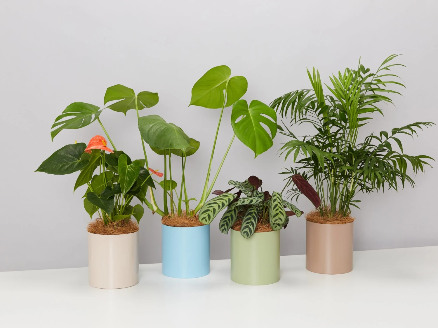 Urban Eden Vessel - Oatmeal - Image 3