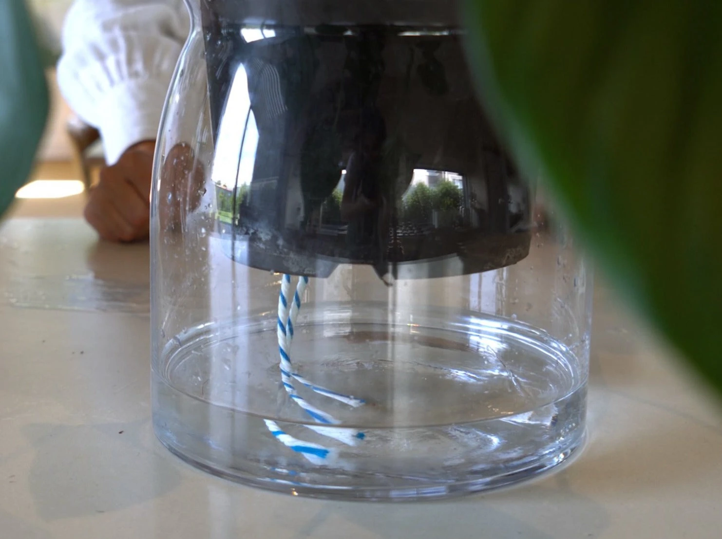 Waterwicks - Self-watering System For Pots With No Drainage - Image 6