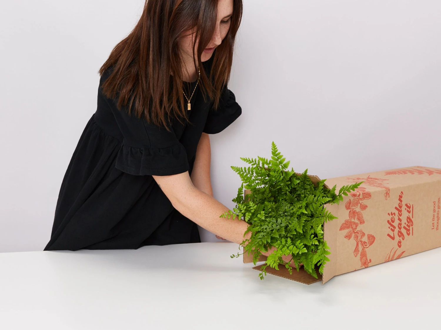 Elho Eco Friendly ♻️Gift Box - Fern Varieties - Image 2