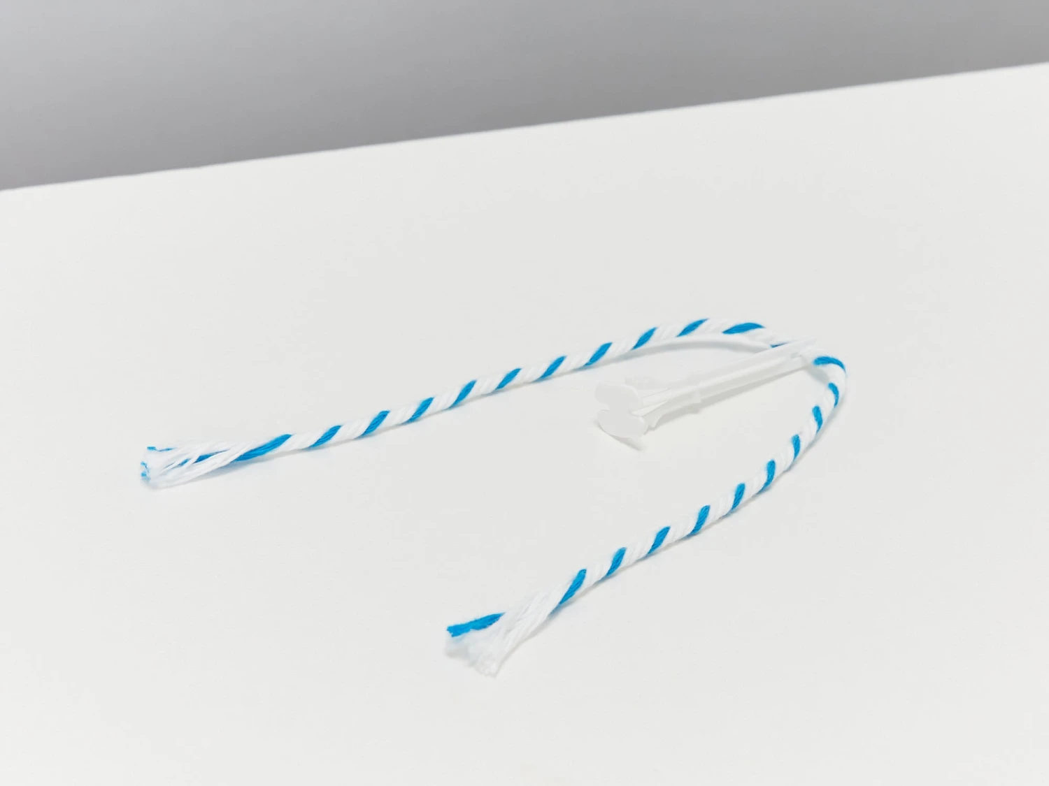 Waterwicks - Self-watering System For Pots With No Drainage - Image 5