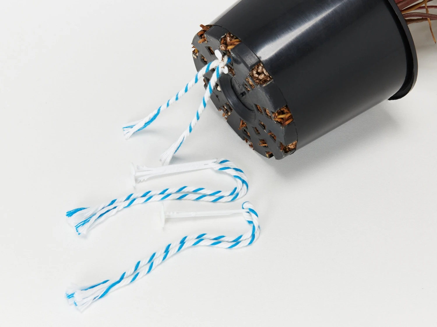 Waterwicks - Self-watering System For Pots With No Drainage - Image 4