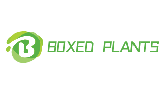 Boxed Plant Store